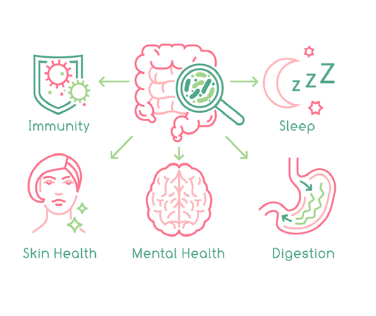 The Gut-Brain Connection: Your Second Brain